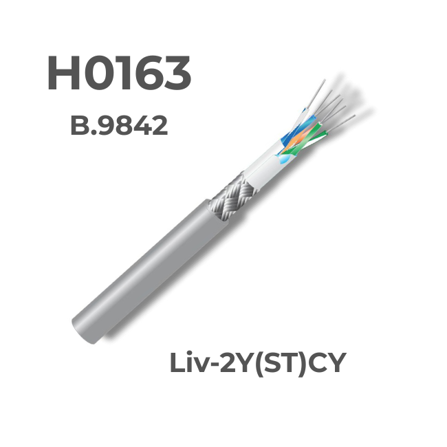 H0163