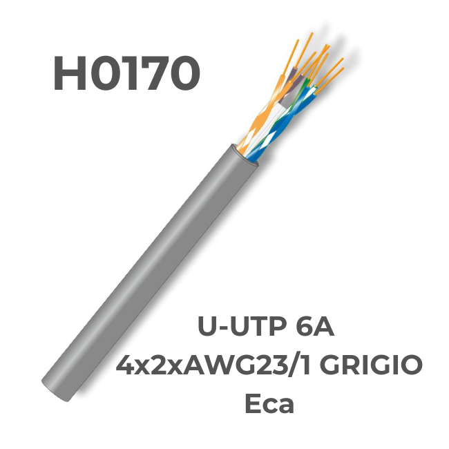H0170