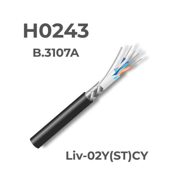H0243